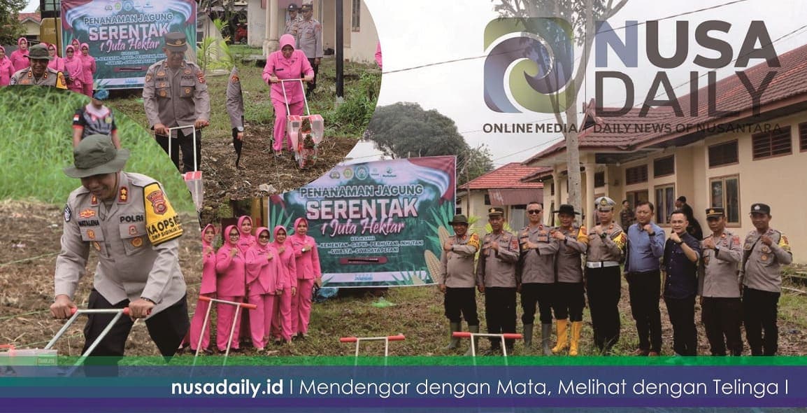 Kapolres Bungo Dukung Swasembada Pangan dengan Penanaman Jagung di Lahan 2 Hektar