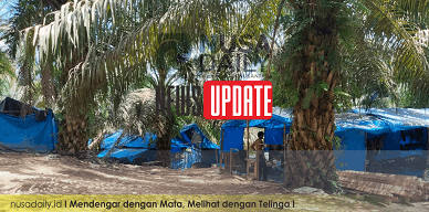 Aktivis Ancam Bawa Kasus PETI Bungo ke Mabes Polri, Polisi Dinilai Tak Tegas