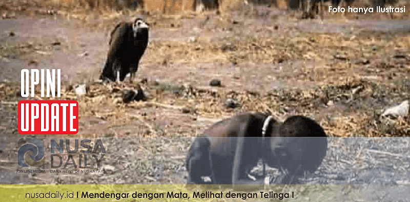 Antara Manusia dan Alam: Dua Perspektif Lingkungan yang Membentuk Cara Dunia Berpikir